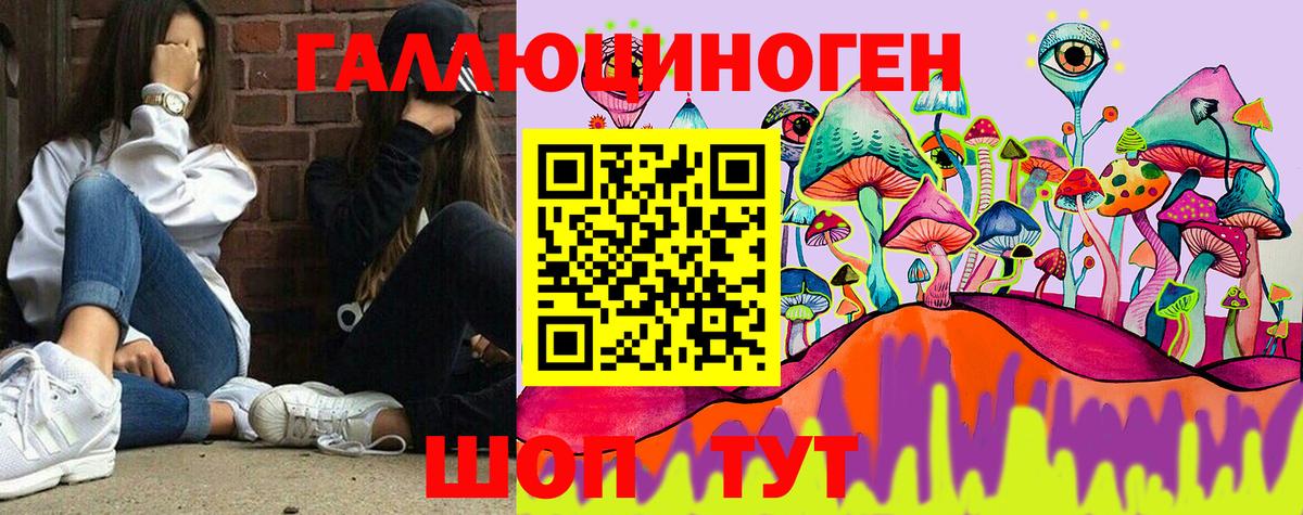 Галлюциногенные грибы GOLDEN TEACHER Железноводск