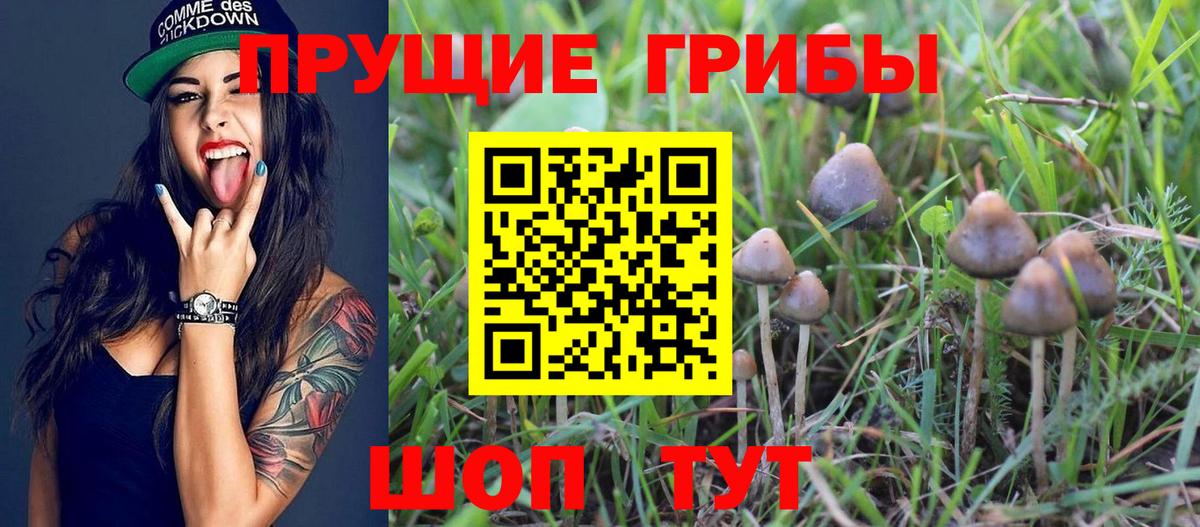 Псилоцибиновые грибы Cubensis  Псилоцибиновые грибы GOLDEN TEACHER  Вход с VPN  Железноводск 